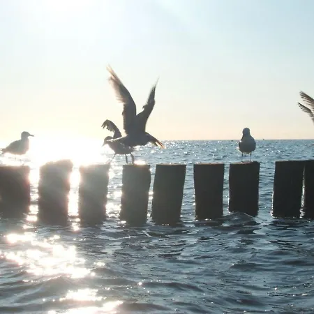 Apartamento Zentrale Mit 2 Schlafzimmern Leuchtturm *